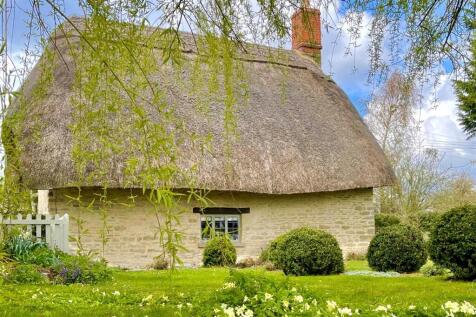 Asphodel Primroses.jpg