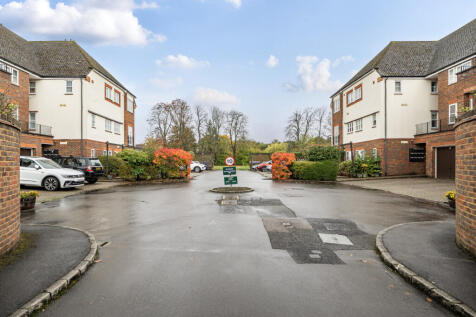Picture 20