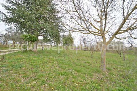 Property Image 140