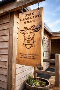 giggling goat.jpg