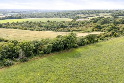 Heather Lane, 16-009.JPG