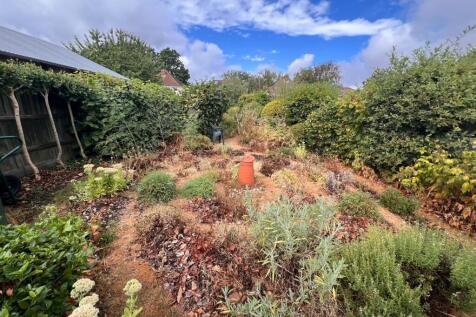 garden.jpeg