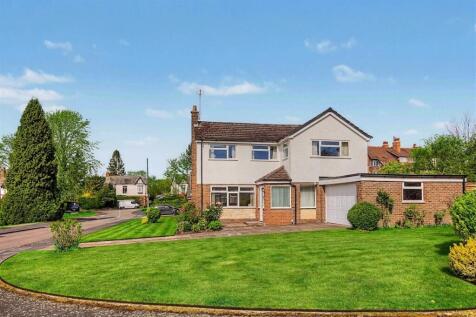 (Main)