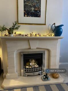 Fireplace (Not Working)