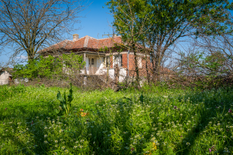 Property Image 21