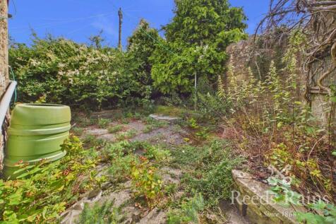 Rear Yard