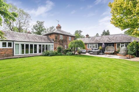 Garden / Rear