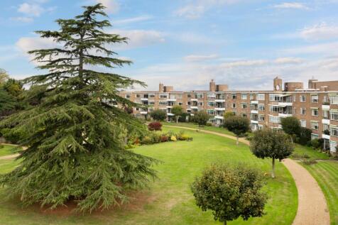 Grounds