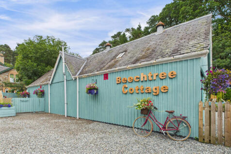 CAM03481G0-PR0115-STILL016