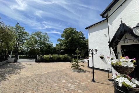 IMG_2201_100_larg...