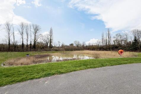 pond view