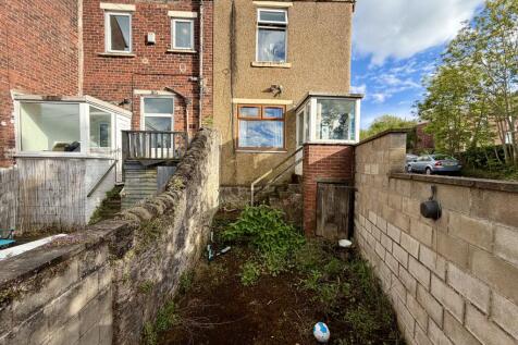 Back Garden