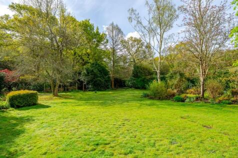 10. 1277340 (19).JPG