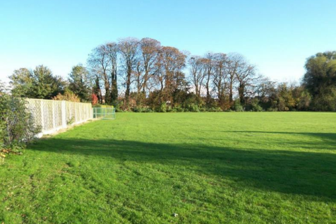 Ramby&#39;s Site Pic.png