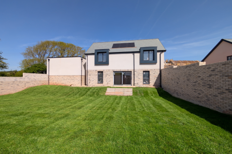 plot 8 grass2