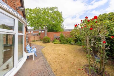 Back Garden