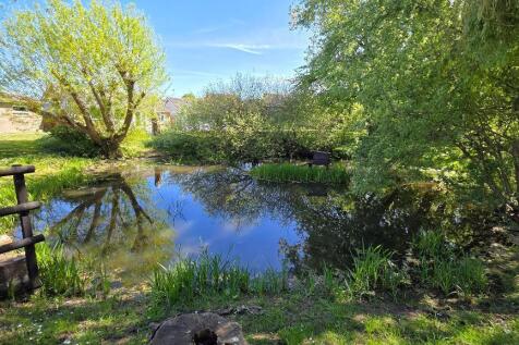 Duck Pond opposite