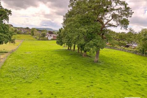 Job_7502_prv_Optimizer - By sep neg.jpg