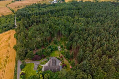Aerial Of Woodland