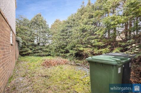 Picture No. 36
