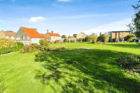 tlc_596c256e-ab69-4879-a007-f5368df20beb_79426b8.j