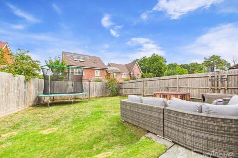 Back Garden