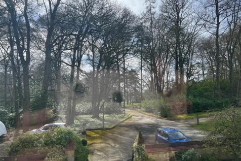 View from bedroom.jpg