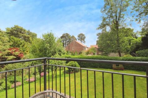 user_edited_photo-1f34b600_user-edited-82a2cf27-ff