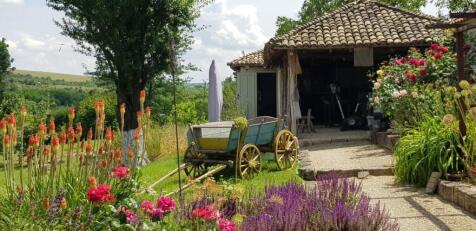 Rustic outbuilding with tiled roof next to vibrant garden flowers and green trees