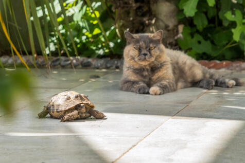 1344036-26-68b1bf07aeedf-ARW