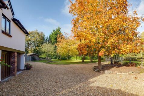 Property Image 38