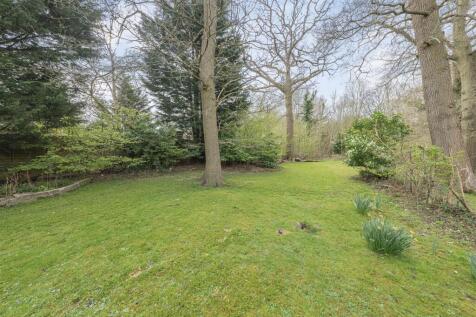 Photo Apr 09 2025, 9 12 49 AM.jpg