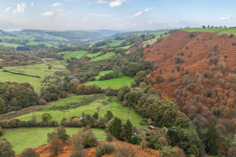 1362744-DJI_20251...