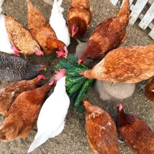 WhatsApp Image 2025-07-09 at 16.43.04_9fcdb17b.jpg