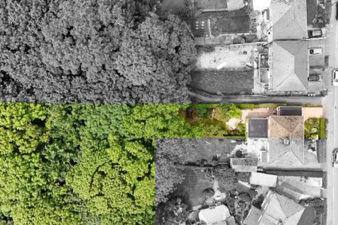 Plot Size