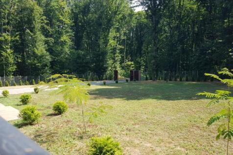 The image captures a green lawn and forest seen from behind a black metal railing on the house balcony.