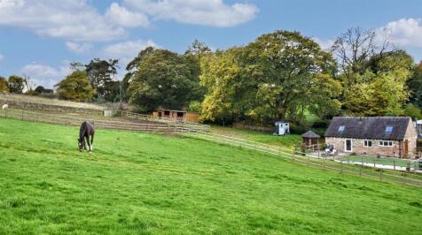 Gardens &amp; Paddocks - 1.2 acres