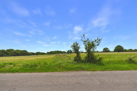 CAM02536G0-PR0123-STILL003