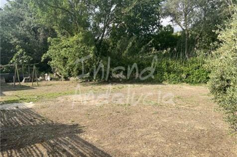 Image 16