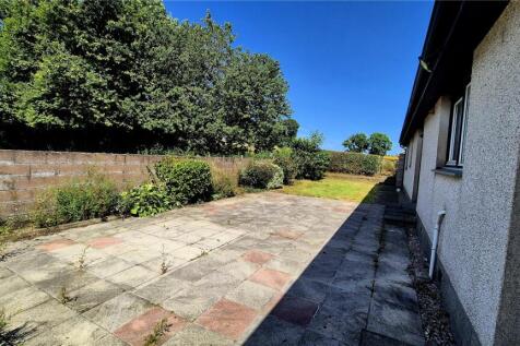 Back Garden
