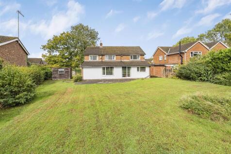 Photo Sep 10 2025, 11 39 30 AM.jpg