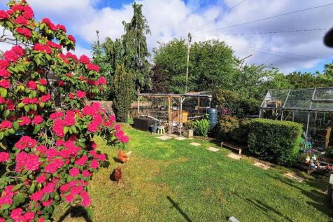 Property Image 40