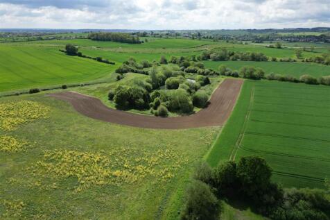 DJI_0389.jpg