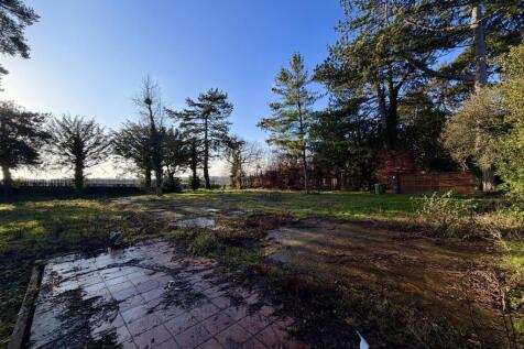 Site image