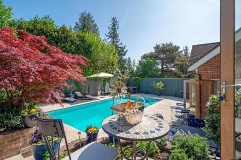 View from the top garden