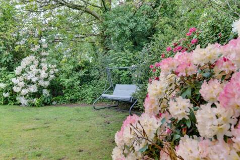 Property Image 54