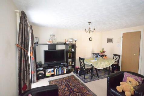 019resizedresized.JP