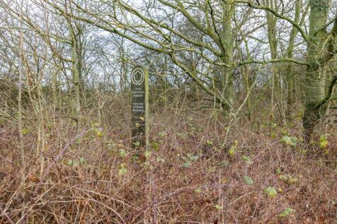 Woodland to the South of Main St Swepstone