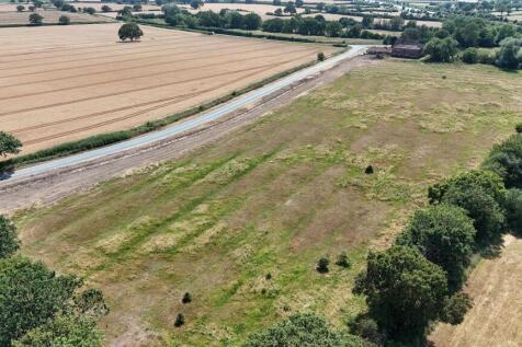 Drone Field.JPG
