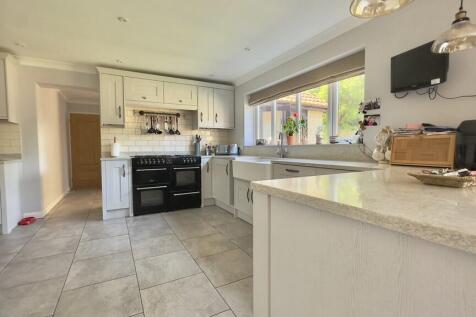 FullSizeRender (1...